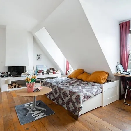 Cosy De * 파리